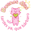 Gatito bonito 14