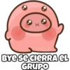 CIELO
BYE SE CIERRA EL
GRUPO