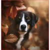 Dog 1 14