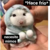 necesito mimos *Hace frio*