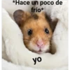 *Hace un poco de frío yo