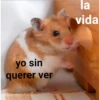yo sin querer ver la vida
