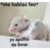 *me hablas feo* yo apunto de llorar