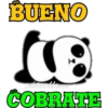 pandita ameltom 14