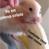 Yo en plena crisis Cualquier cosa que maree