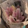 Flowers aesthetic 16