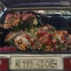 Flowers aesthetic 17