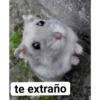 te extraño