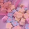 Aesthetιc Food 21