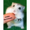 malas decisiones yo