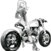motos pasión 25