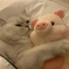 ️Lindas mascotas 22