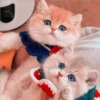 le