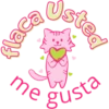 Gatito bonito 27
