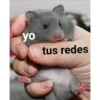 yo tus redes