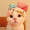 ️Lindas mascotas 26