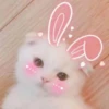 ️Lindas mascotas 28