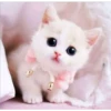 gatitos tiernos 30
