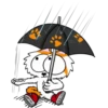 Willi Cat Doings 6