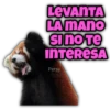 Animalitos fraseados 5