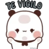 Bubu & Dudu 🐼🐻 Frases 8