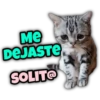 Animalitos fraseados 7