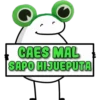 CAES MAL
SAPO HIJUEPUTA