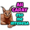 Animalitos fraseados 9