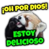 Animalitos fraseados 11
