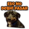 Animalitos fraseados 12