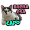 Animalitos fraseados 13