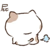 Kitty bun this chin is better than Q 8