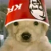 Perritos RAMDOM 10