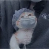 Gatitos aesthetic 13
