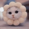 Gatitos aesthetic 16