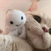 Gatitos aesthetic 17
