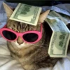 Gatitos aesthetic 19