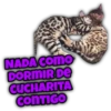 Animalitos fraseados 20