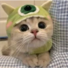 Gatitos aesthetic 21