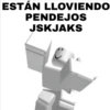 ESTÁN LLOVIENDO
PENDEJOS
JSKJAKS