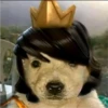 Perritos RAMDOM 18