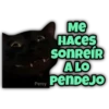 Animalitos fraseados 24
