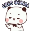 Bubu & Dudu 🐼🐻 Frases 24