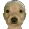 Perritos RAMDOM 27