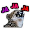 Animalitos fraseados 28