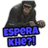 Animalitos fraseados 29