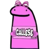 ƒłσRк p¡หк คหห 30