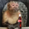 Memes Del Monito 6
