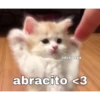 lol 7