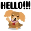 HELLO!!!